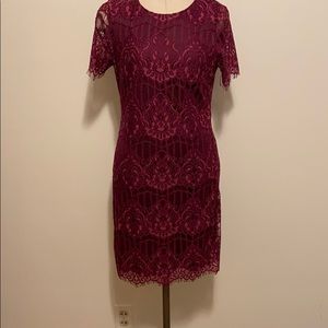 Kensie Berry lace dress size 6